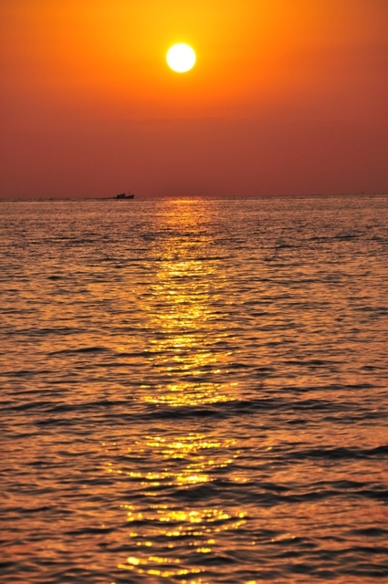 f:id:ikazuti-d:20101219165130j:image