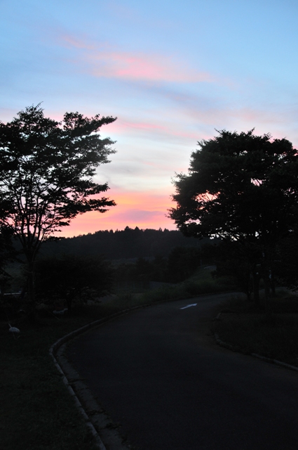 f:id:ikazuti-d:20110728193151j:image