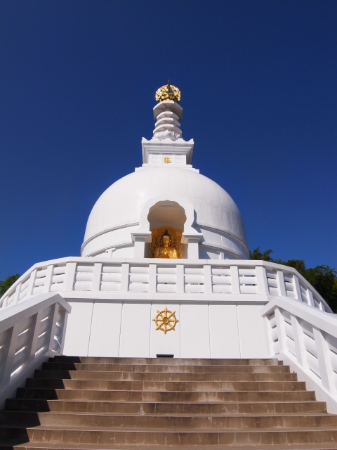 f:id:ikazuti-d:20111020134010j:image