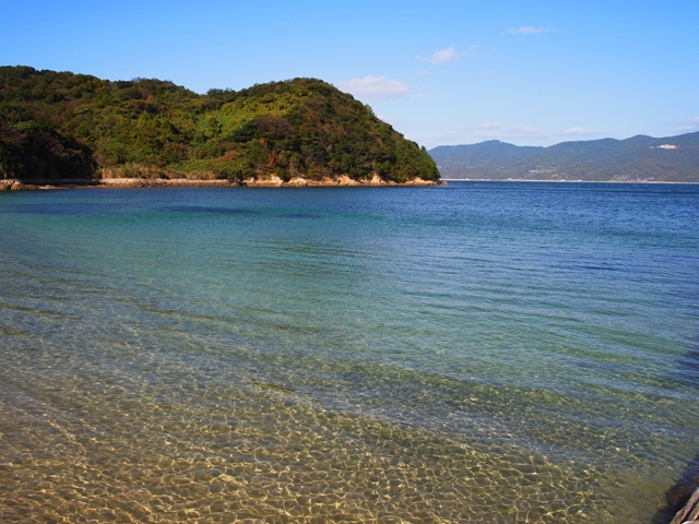f:id:ikazuti-d:20111120133712j:image