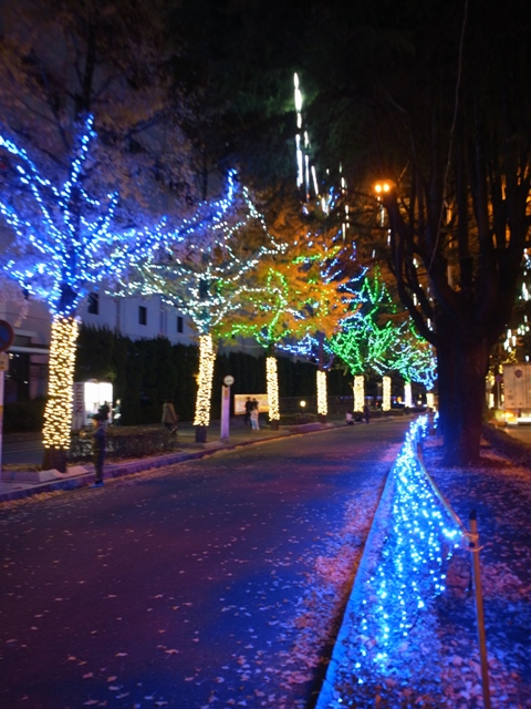 f:id:ikazuti-d:20111210195106j:image