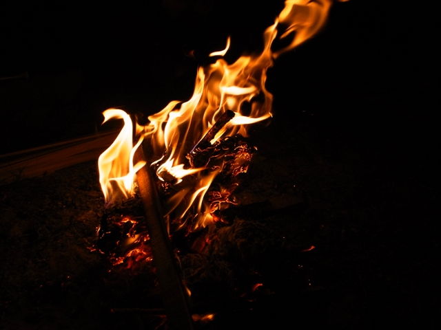 f:id:ikazuti-d:20111211203535j:image