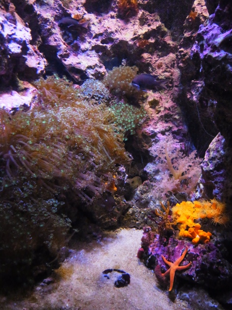 f:id:ikazuti-d:20120121132402j:image