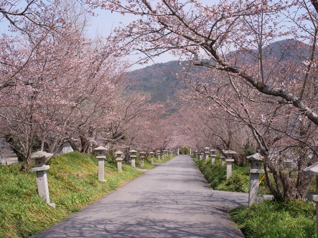 f:id:ikazuti-d:20120404135306j:image