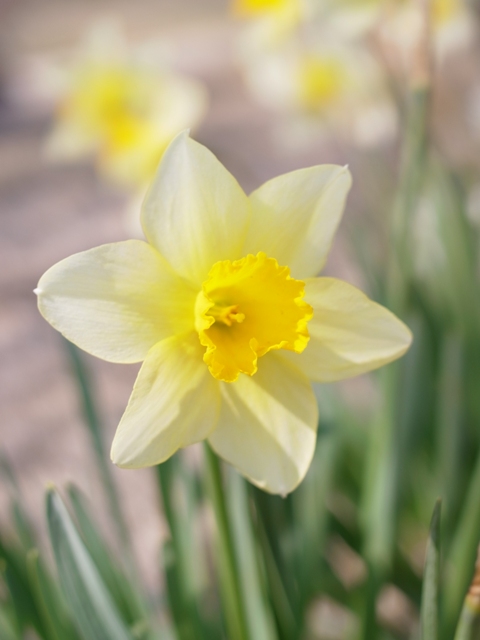 f:id:ikazuti-d:20120404140027j:image