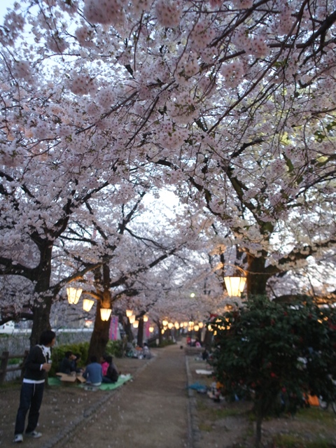 f:id:ikazuti-d:20120408184828j:image