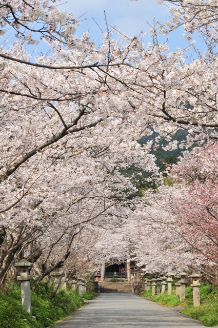f:id:ikazuti-d:20120409095040j:image