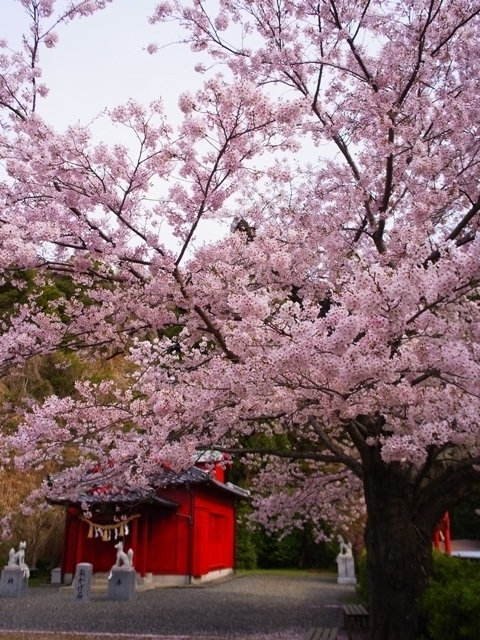 f:id:ikazuti-d:20120413080443j:image f:id:ikazuti-d:20120413080443j:image