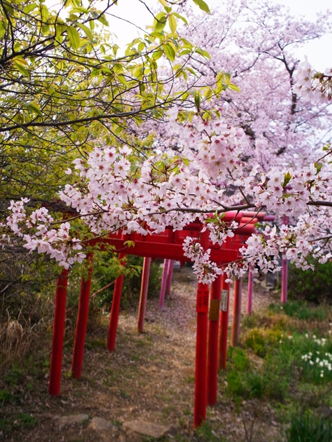 f:id:ikazuti-d:20120413080555j:image f:id:ikazuti-d:20120413080555j:image