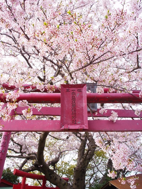 f:id:ikazuti-d:20120413081147j:image f:id:ikazuti-d:20120413081147j:image
