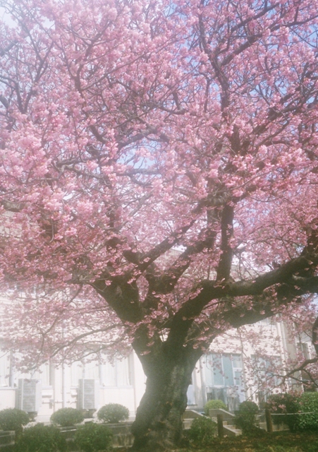 f:id:ikazuti-d:20120415071018j:image
