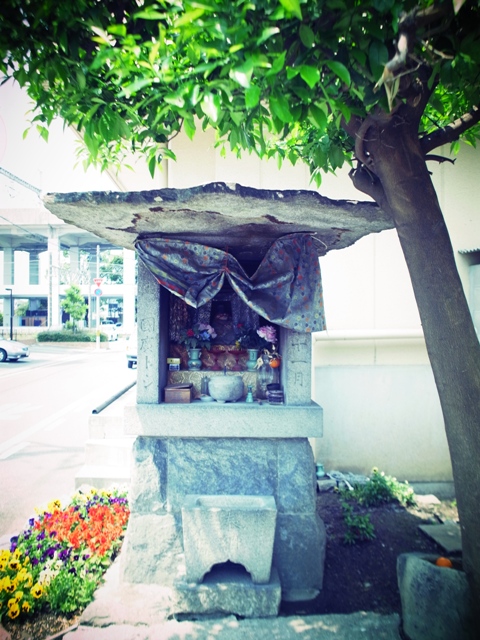 f:id:ikazuti-d:20120516105912j:image