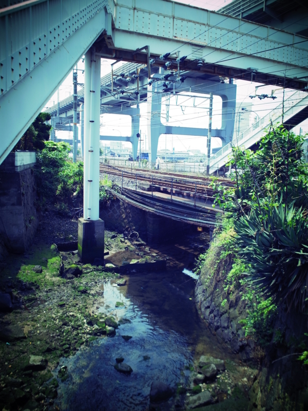 f:id:ikazuti-d:20120516111003j:image