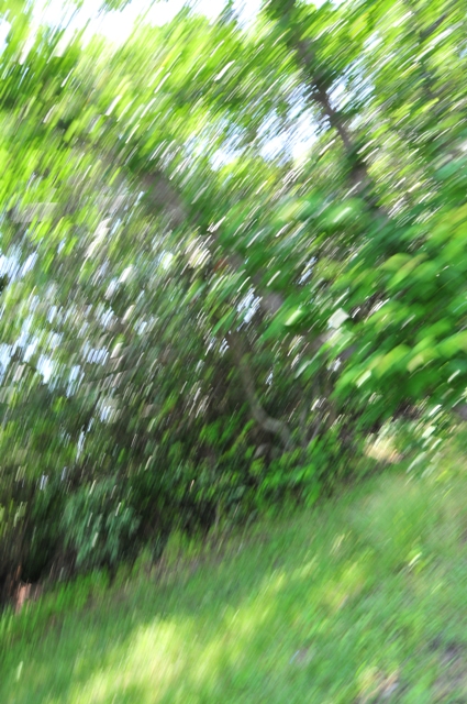 f:id:ikazuti-d:20120527104346j:image