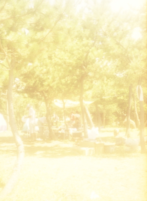 f:id:ikazuti-d:20121204090607j:image