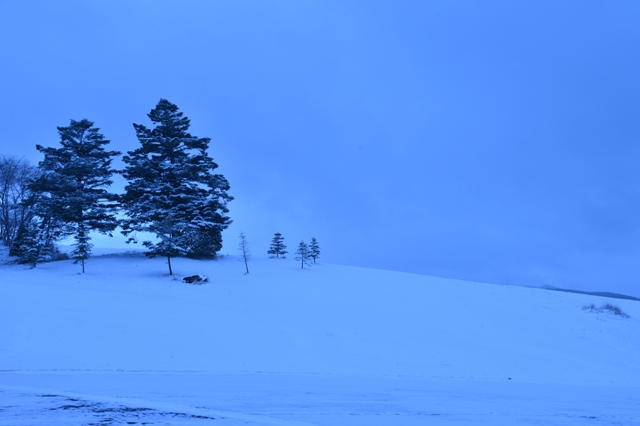 f:id:ikazuti-d:20121219121340j:image