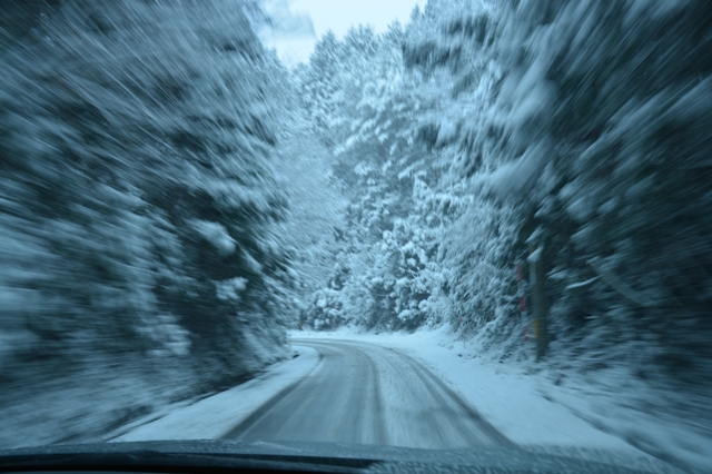f:id:ikazuti-d:20121219125718j:image