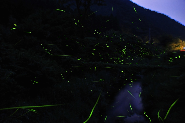 f:id:ikazuti-d:20130608200416j:image