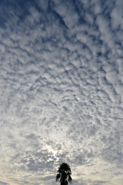 f:id:ikazuti-d:20130720070839j:image