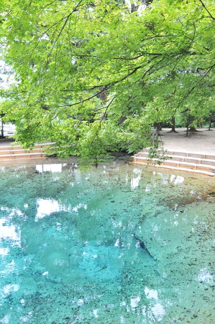 f:id:ikazuti-d:20130723143629j:image