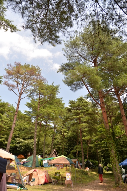f:id:ikazuti-d:20130803131430j:image