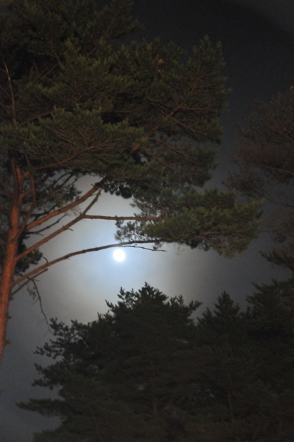 f:id:ikazuti-d:20130921215655j:image