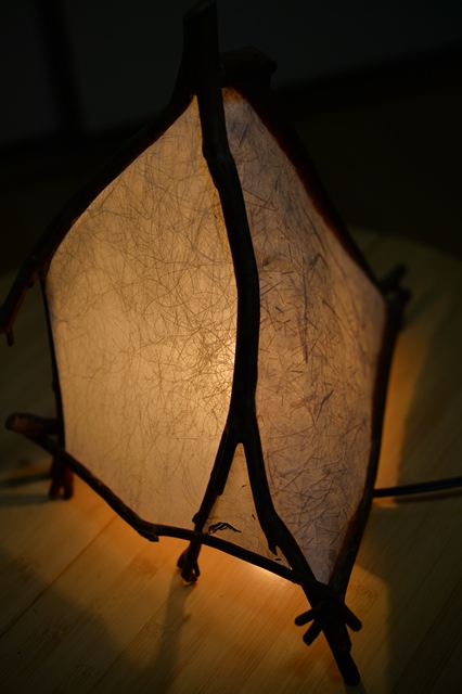 f:id:ikazuti-d:20131110221628j:image