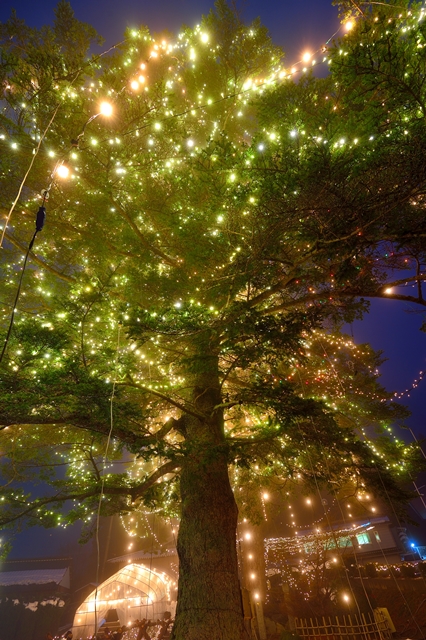 f:id:ikazuti-d:20131230175048j:image