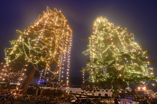 f:id:ikazuti-d:20131230175140j:image