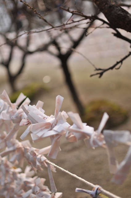 f:id:ikazuti-d:20140103161507j:image