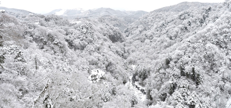 f:id:ikazuti-d:20140218151103j:image