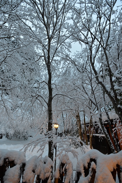 f:id:ikazuti-d:20140218180211j:image