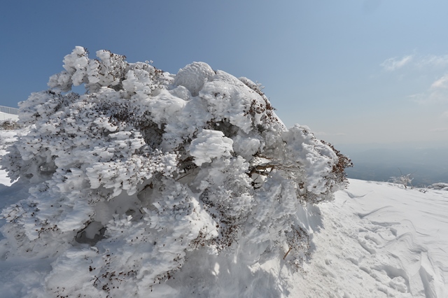 f:id:ikazuti-d:20140220122128j:image