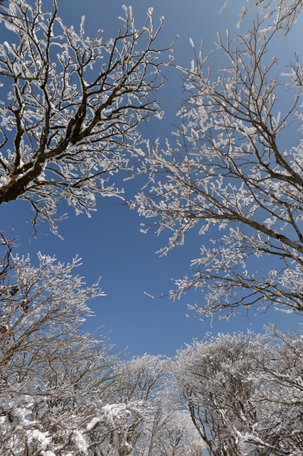 f:id:ikazuti-d:20140220124951j:image