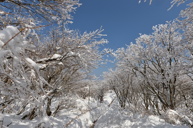 f:id:ikazuti-d:20140220125140j:image