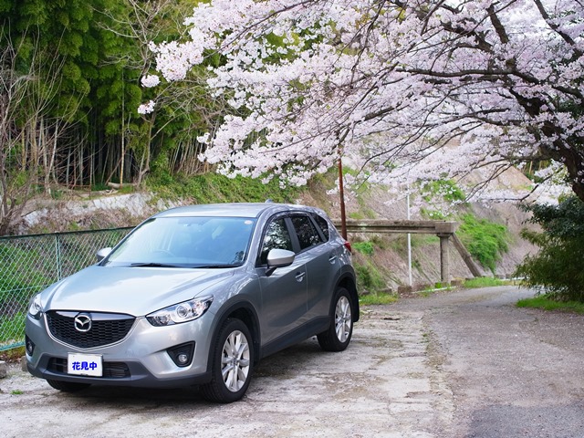 f:id:ikazuti-d:20140402183130j:image