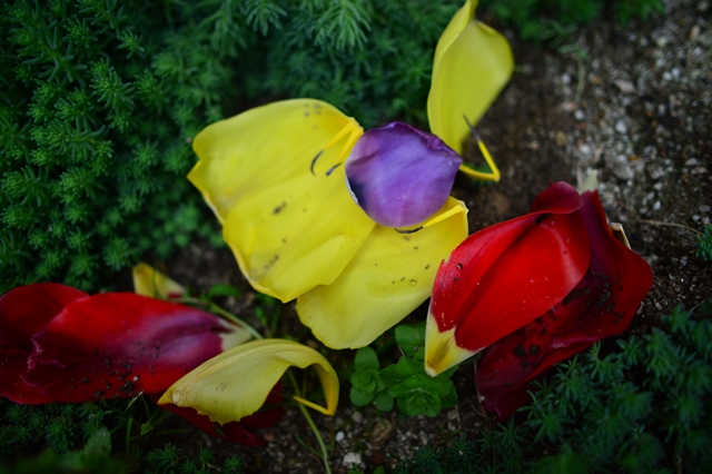 f:id:ikazuti-d:20140420131916j:image