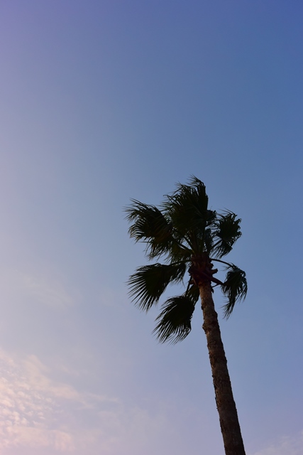 f:id:ikazuti-d:20140813182831j:image