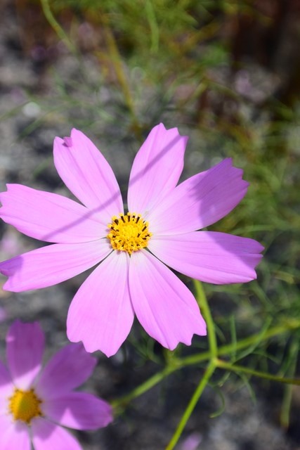f:id:ikazuti-d:20140926113012j:image