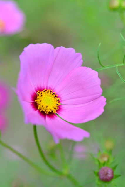 f:id:ikazuti-d:20141006103453j:image