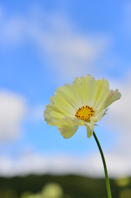 f:id:ikazuti-d:20141006104007j:image