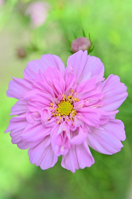 f:id:ikazuti-d:20141006104821j:image