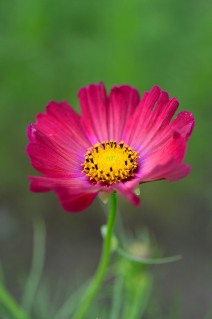 f:id:ikazuti-d:20141006105006j:image