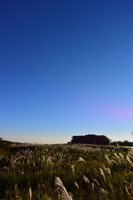 f:id:ikazuti-d:20141018164621j:image