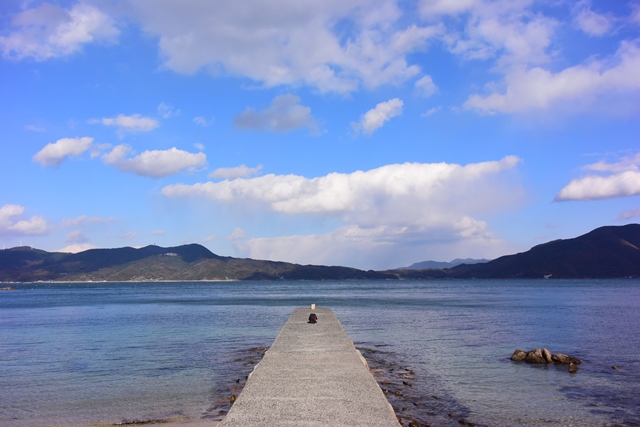 f:id:ikazuti-d:20141206140736j:image