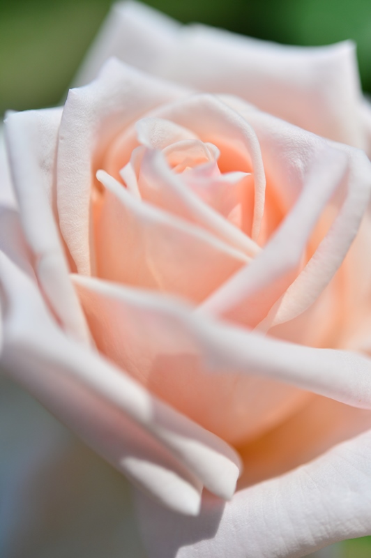 f:id:ikazuti-d:20150601104857j:image