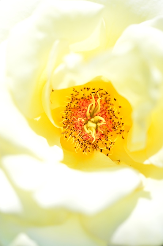 f:id:ikazuti-d:20150601105338j:image