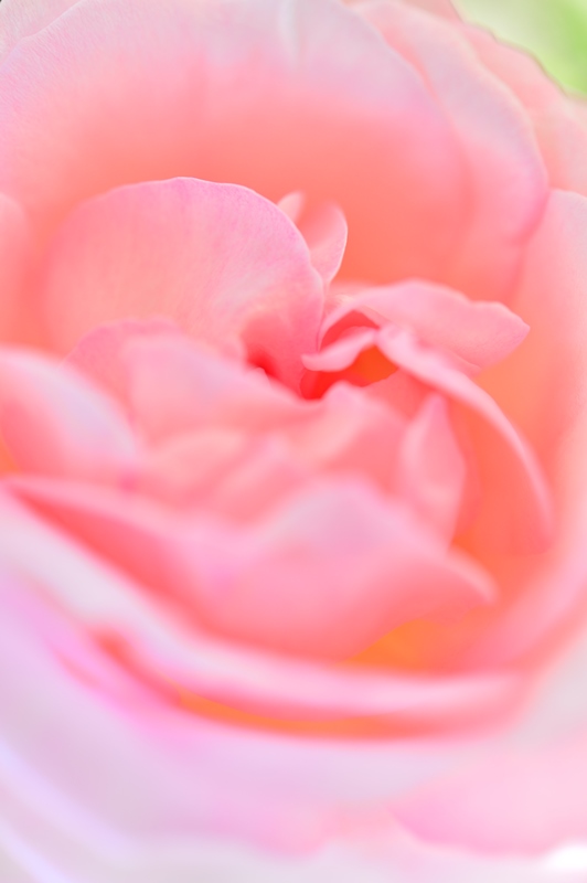 f:id:ikazuti-d:20150601105937j:image