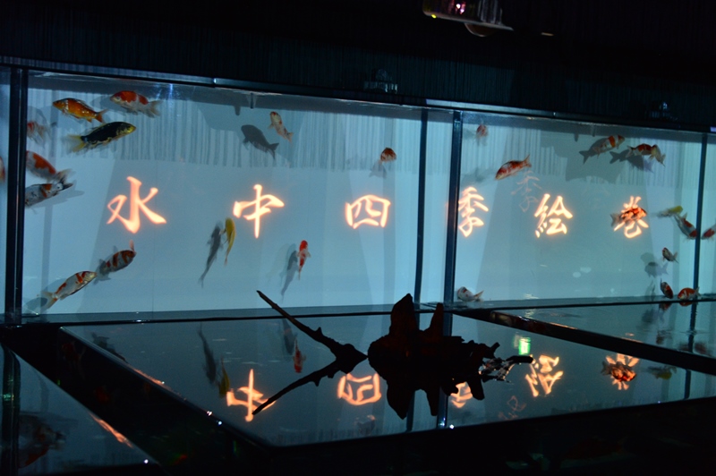f:id:ikazuti-d:20150726105644j:image