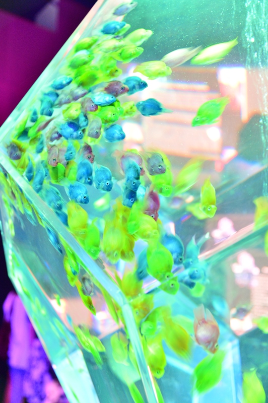 f:id:ikazuti-d:20150726111540j:image